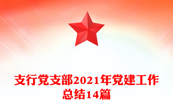 支行党支部2021年党建工作总结14篇