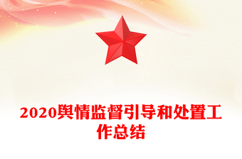 2020舆情监督引导和处置工作总结