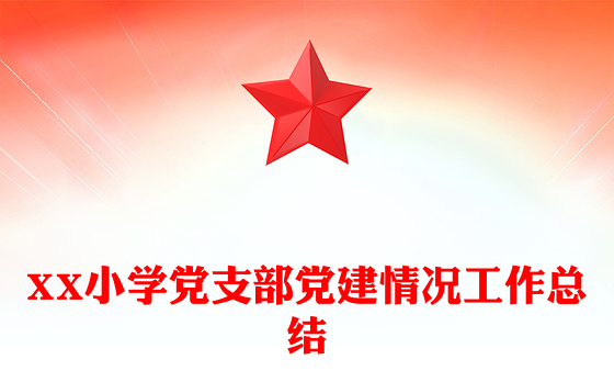 XX小学党支部党建情况工作总结