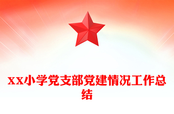 XX小学党支部党建情况工作总结