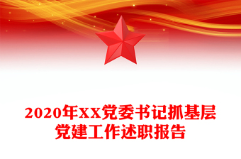 2020年XX党委书记抓基层党建工作述职报告
