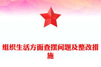 组织生活方面查摆问题及整改措施