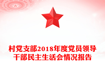 村党支部2018年度党员领导干部民主生活会情况报告