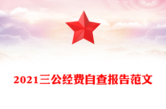 2021三公经费自查报告范文