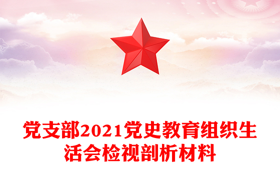 党支部2021党史教育组织生活会检视剖析材料