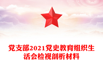 党支部2021党史教育组织生活会检视剖析材料