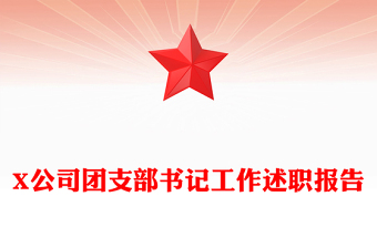 X公司团支部书记工作述职报告