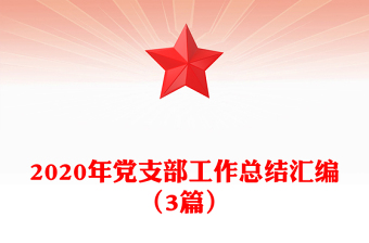 2020年党支部工作总结汇编（3篇）