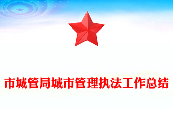 市城管局城市管理执法工作总结