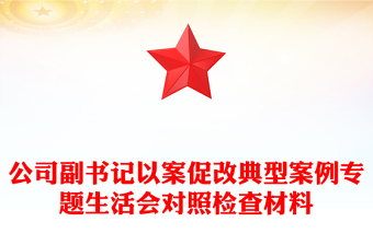 公司副书记以案促改典型案例专题生活会对照检查材料