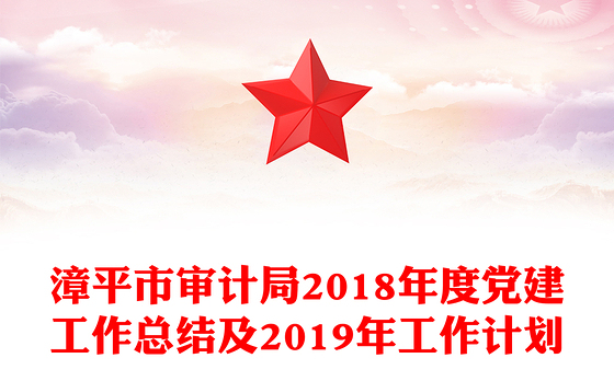 审计局2023党建总结