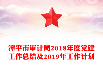 漳平市审计局2018年度党建工作总结及2019年工作计划