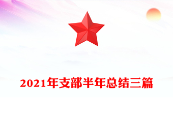 2021年支部半年总结三篇