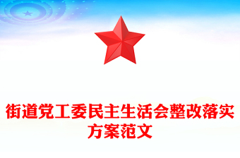 2021年街道党工委民主生活会整改落实方案范文