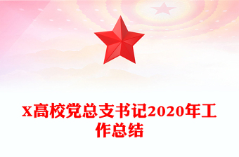 X高校党总支书记2020年工作总结
