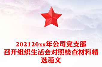 202120xx年公司党支部召开组织生活会对照检查材料精选范文
