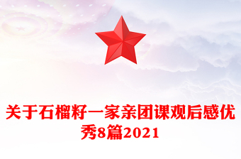 关于石榴籽一家亲团课观后感优秀8篇2021