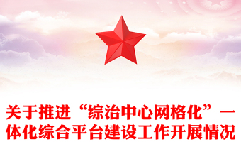 关于推进“综治中心网格化”一体化综合平台建设工作开展情况