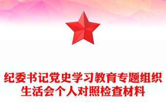 纪委书记党史学习教育专题组织生活会个人对照检查材料