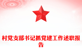 村党支部书记抓党建工作述职报告