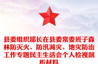 县委组织部长在县委常委班子森林防灭火、防汛减灾、地灾防治工作专题民主生活会个人检视剖析材料