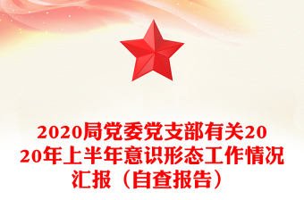 2020局党委党支部有关2020年上半年意识形态工作情况汇报（自查报告）
