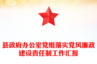 县政府办公室党组落实党风廉政建设责任制工作汇报