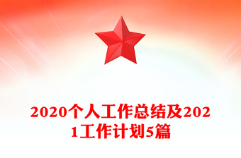 2020个人工作总结及2021工作计划5篇