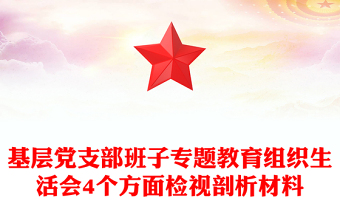 基层党支部班子专题教育组织生活会4个方面检视剖析材料
