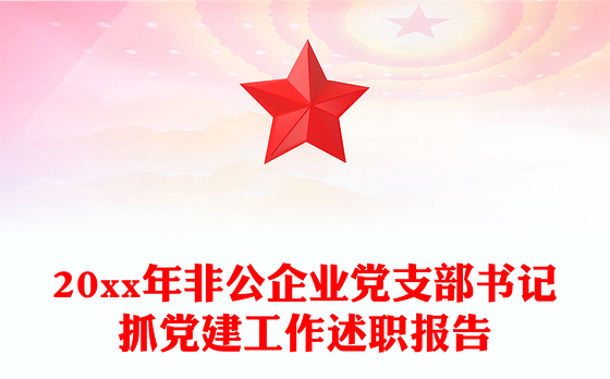 20xx年非公企业党支部书记抓党建工作述职报告