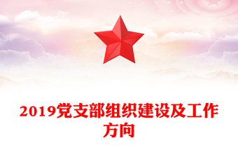 2019党支部组织建设及工作方向