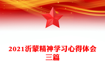 2021沂蒙精神学习心得体会三篇