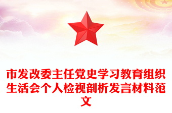 市发改委主任党史学习教育组织生活会个人检视剖析发言材料范文