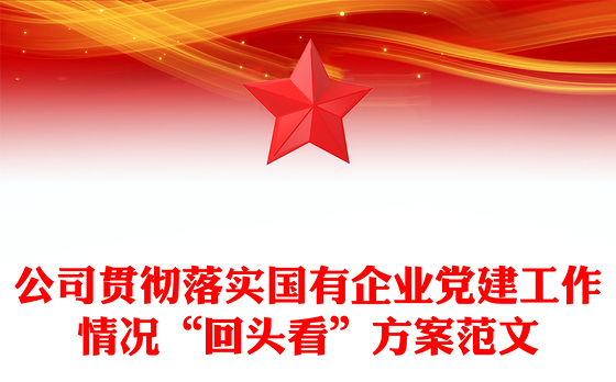 公司贯彻落实国有企业党建工作情况“回头看”方案范文