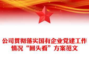 公司贯彻落实国有企业党建工作情况“回头看”方案范文