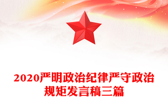 2020严明政治纪律严守政治规矩发言稿三篇