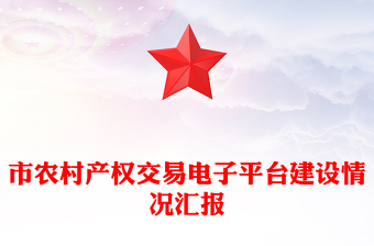 市农村产权交易电子平台建设情况汇报