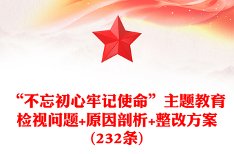 “不忘初心牢记使命”主题教育检视问题+原因剖析+整改方案(232条)