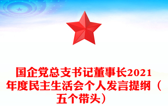 国企党总支书记董事长2021年度民主生活会个人发言提纲（五个带头）