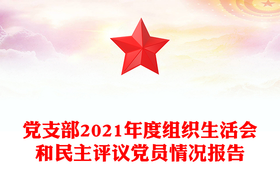 党支部2021年度组织生活会和民主评议党员情况报告