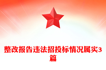 整改报告违法招投标情况属实3篇