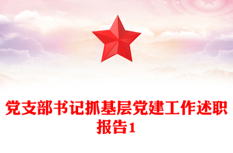党支部书记抓基层党建工作述职报告1