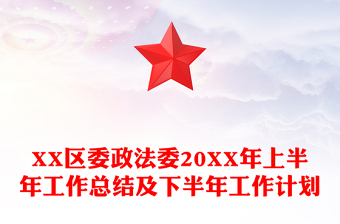 XX区委政法委20XX年上半年工作总结及下半年工作计划