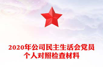 2020年公司民主生活会党员个人对照检查材料