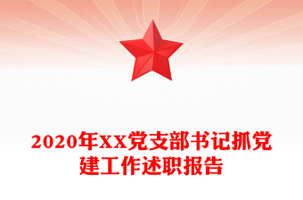 2020年XX党支部书记抓党建工作述职报告