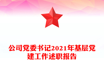 公司党委书记2021年基层党建工作述职报告