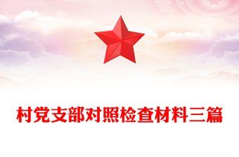 村党支部对照检查材料三篇