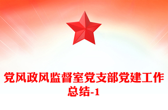 党风政风监督室党支部党建工作总结-1