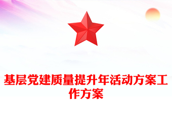 基层党建质量提升年活动方案工作方案