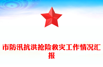 市防汛抗洪抢险救灾工作情况汇报